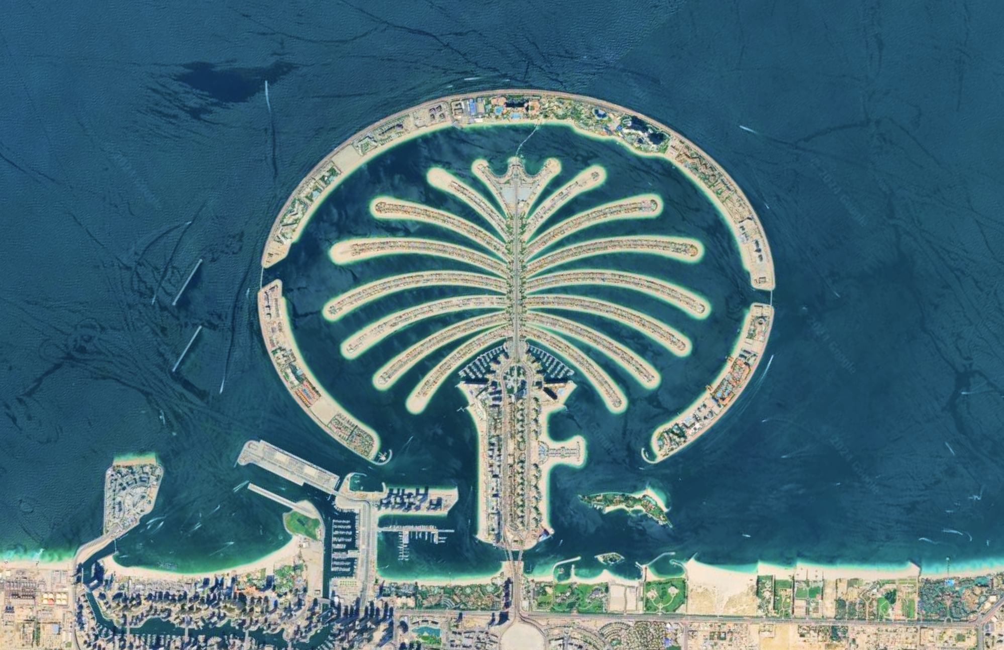 The Palm Crown Garden